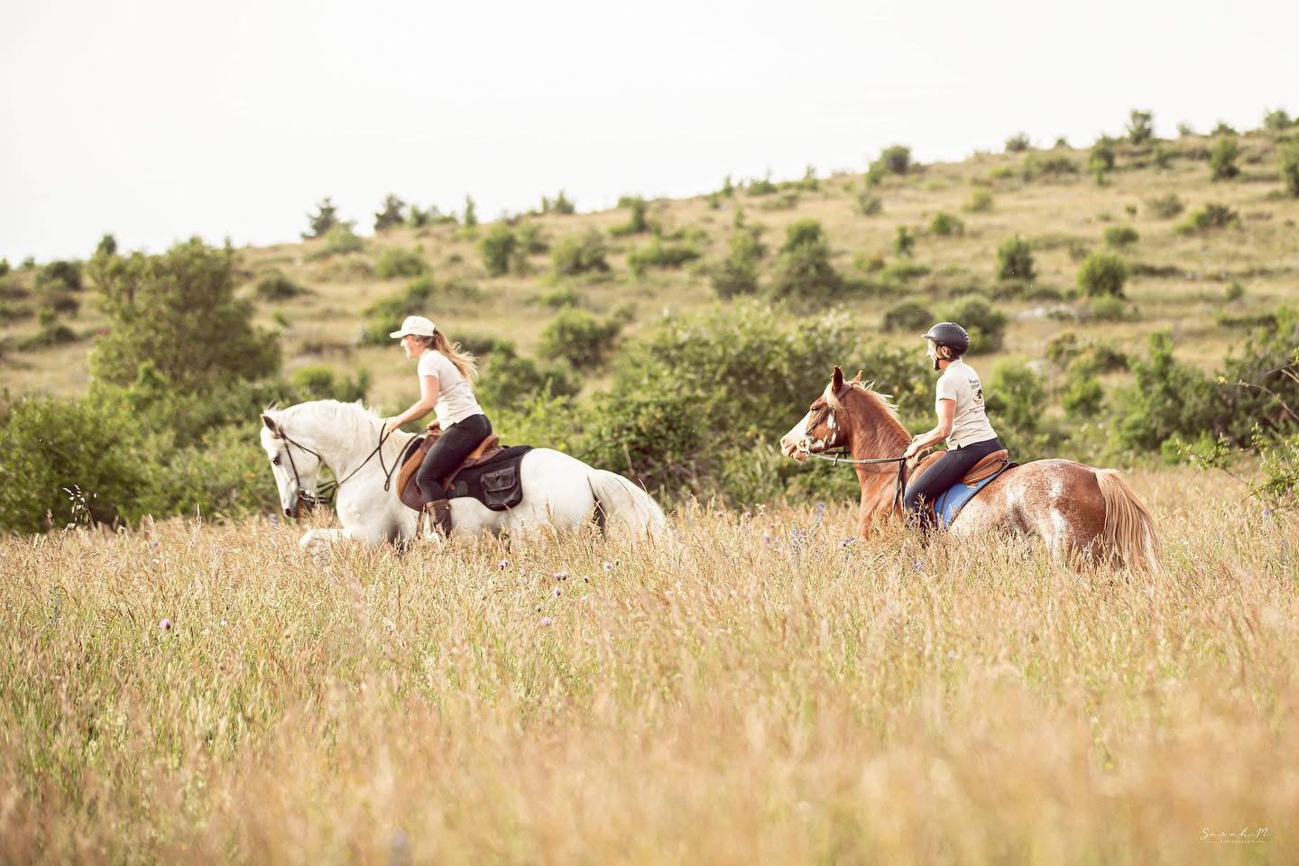 Balade à cheval au Cirque de Navacelles