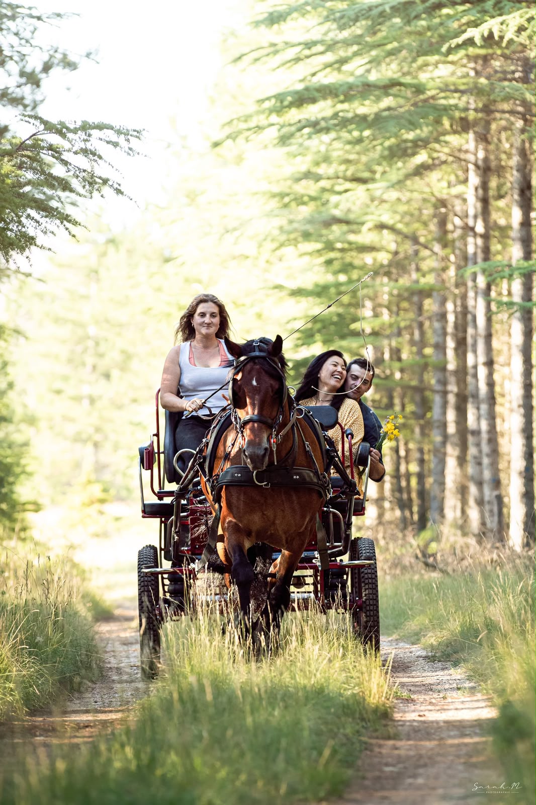 Balade à cheval au Cirque de Navacelles