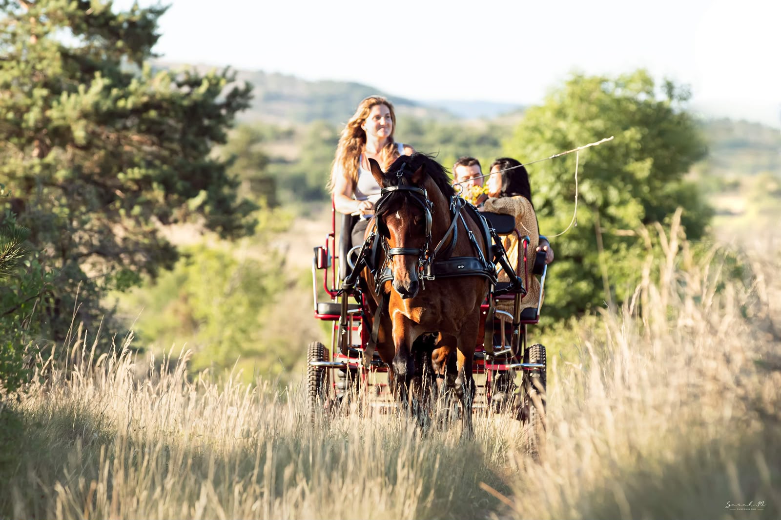 Balade à cheval sur le Causse de Blandas