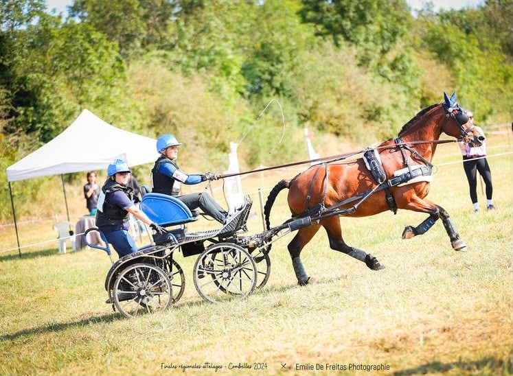 Cours d'équitation à Blandas